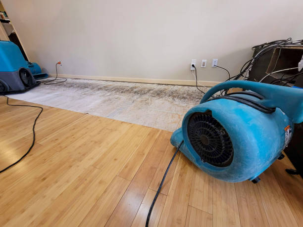 Professional Structural Drying technician working in Hamilton, MI
